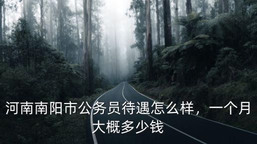 河南南陽市公務(wù)員待遇怎么樣，一個月大概多少錢