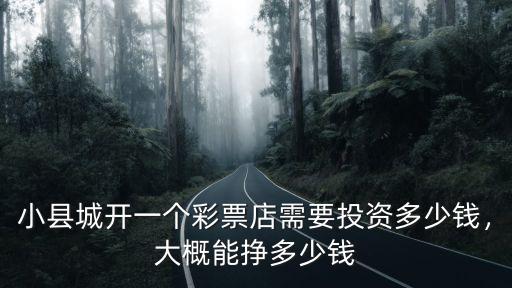 小縣城開(kāi)一個(gè)彩票店需要投資多少錢，大概能掙多少錢
