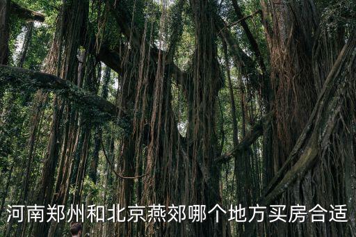 河南鄭州和北京燕郊哪個地方買房合適
