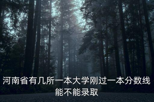 河南省內(nèi)一共有多少一本高校,河南省有幾所一本大學(xué)