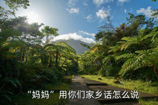 媽的智障河南話怎么說,媽媽用你們家鄉話怎么說