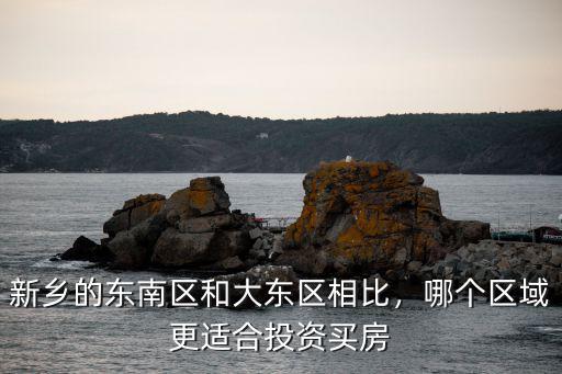 新鄉的東南區和大東區相比，哪個區域更適合投資買房