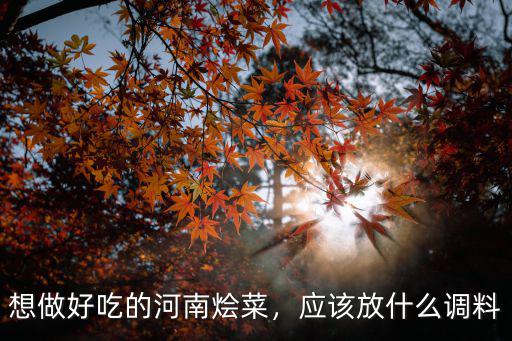 想做好吃的河南燴菜，應(yīng)該放什么調(diào)料