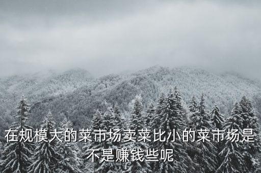 在規(guī)模大的菜市場(chǎng)賣菜比小的菜市場(chǎng)是不是賺錢些呢