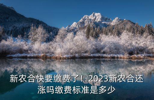 今年河南合作醫療繳費標準是多少,繳費標準是多少