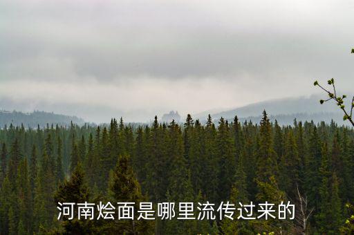 河南燴面是哪里流傳過來的