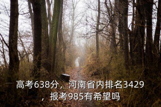 2018458分河南排名多少,高考638分