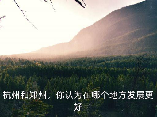 杭州鄭州發(fā)展怎么樣,北漂回鄭州發(fā)展怎么樣