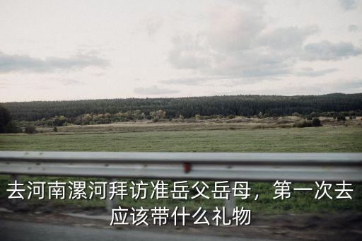 去河南漯河拜訪準(zhǔn)岳父岳母，第一次去應(yīng)該帶什么禮物