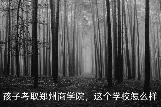 孩子考取鄭州商學院，這個學校怎么樣