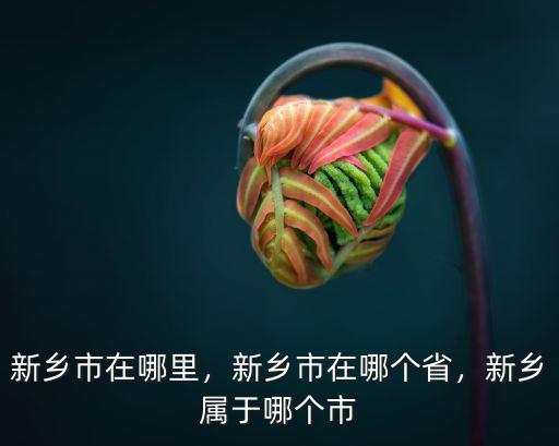 新鄉(xiāng)市在哪里，新鄉(xiāng)市在哪個(gè)省，新鄉(xiāng)屬于哪個(gè)市