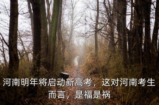 河南高考改革化學怎么辦,新高考改革后