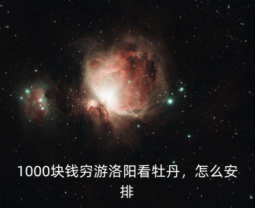 2021年洛陽牡丹多少錢一棵,1000塊錢窮游洛陽看牡丹