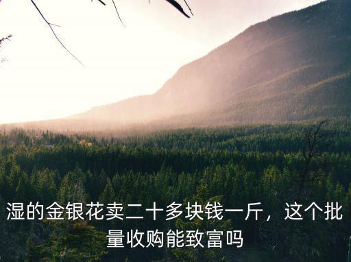 濕的金銀花賣二十多塊錢一斤，這個(gè)批量收購(gòu)能致富嗎