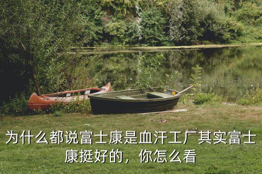 為什么都說富士康是血汗工廠其實富士康挺好的，你怎么看