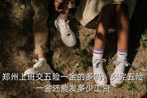 鄭州單位五險一金怎么交,鄭州上班交五險一金的多嗎
