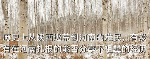 歷史上從陜西逃荒到河南的難民，有沒有在河南扎根的能否分享下祖輩的經歷