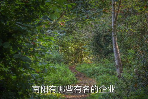南陽(yáng)有哪些有名的企業(yè)