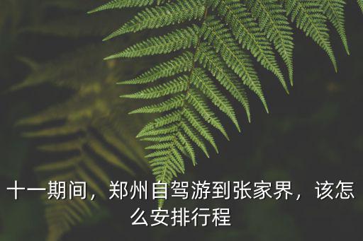 十一期間，鄭州自駕游到張家界，該怎么安排行程