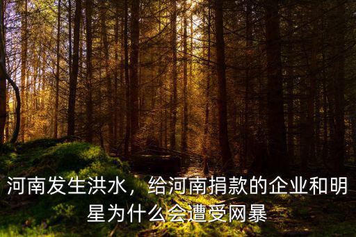河南發生洪水，給河南捐款的企業和明星為什么會遭受網暴