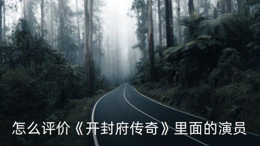 怎么評價(jià)《開封府傳奇》里面的演員