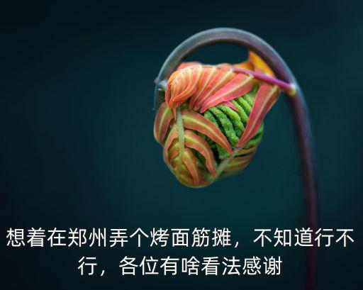 想著在鄭州弄個(gè)烤面筋攤，不知道行不行，各位有啥看法感謝