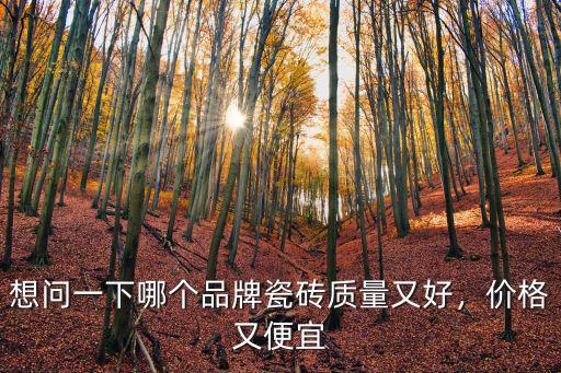 想問一下哪個品牌瓷磚質量又好，價格又便宜