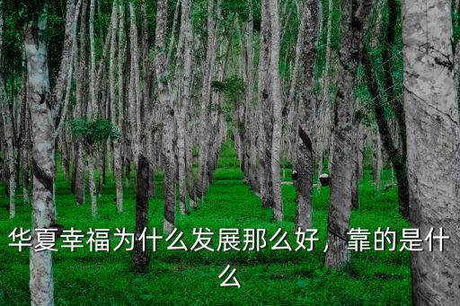 華夏幸福為什么發(fā)展那么好，靠的是什么