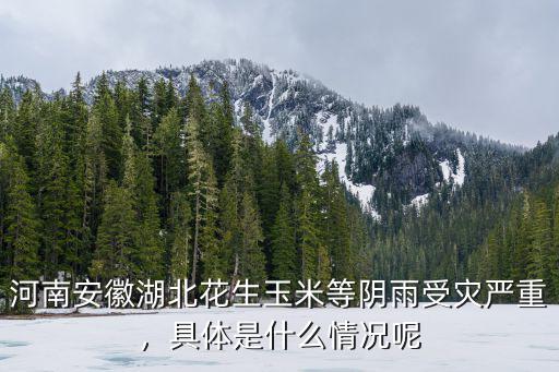 河南安徽湖北花生玉米等陰雨受災(zāi)嚴(yán)重，具體是什么情況呢
