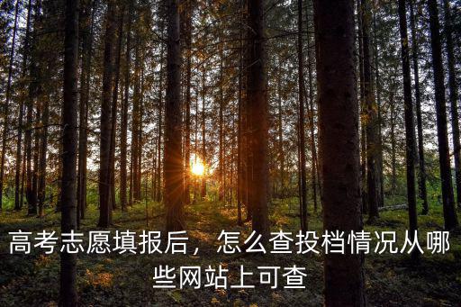 高考志愿填報后，怎么查投檔情況從哪些網(wǎng)站上可查