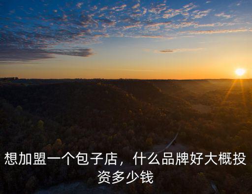 想加盟一個包子店，什么品牌好大概投資多少錢