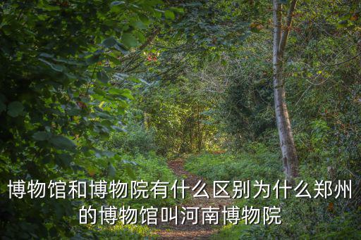 河南博物院新聞稿怎么寫,新聞稿件怎么寫好