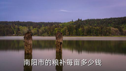 南陽市農村人口有多少錢,南陽市的糧補每畝多少錢