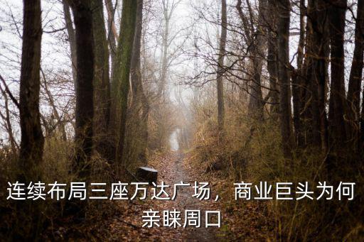 連續布局三座萬達廣場，商業巨頭為何親睞周口