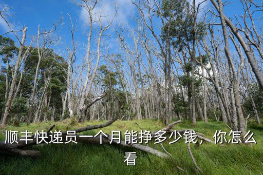 順豐快遞員一個(gè)月能掙多少錢，你怎么看