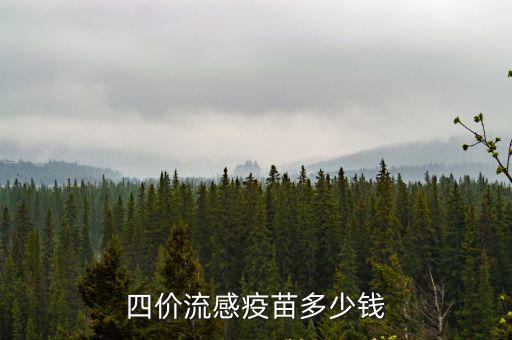 商丘嬰幼兒流感疫苗多少錢,四價流感疫苗多少錢