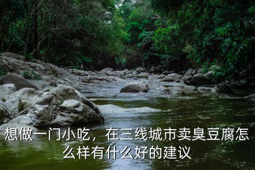 想做一門小吃，在三線城市賣臭豆腐怎么樣有什么好的建議