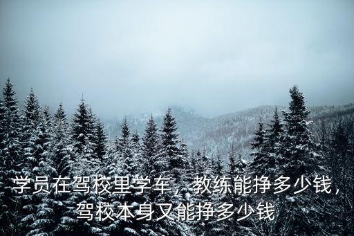 學(xué)員在駕校里學(xué)車(chē)，教練能掙多少錢(qián)，駕校本身又能掙多少錢(qián)