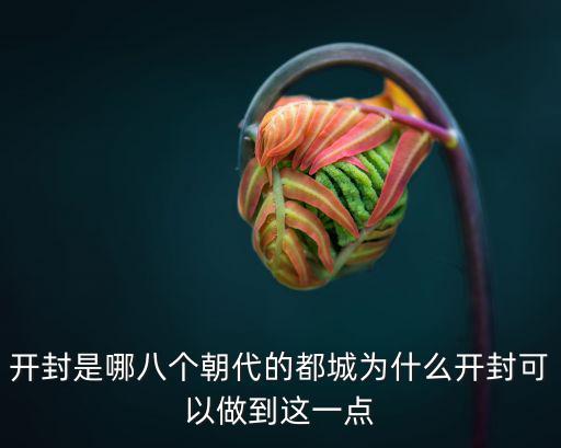 開封是哪八個朝代的都城為什么開封可以做到這一點(diǎn)