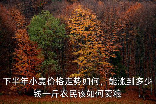 下半年小麥價格走勢如何，能漲到多少錢一斤農民該如何賣糧