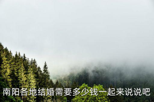 南陽各地結婚需要多少錢一起來說說吧