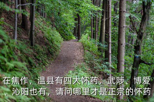 在焦作，溫縣有四大懷藥，武陟、博愛、沁陽也有，請問哪里才是正宗的懷藥