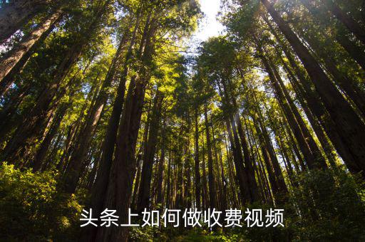 頭條上如何做收費視頻