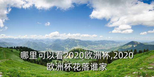 安陽哪里可以看2020歐洲杯,2020歐洲杯花落誰家