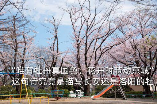 “唯有牡丹真國色，花開時節動京城”，這句詩究竟是描寫長安還是洛陽的牡丹