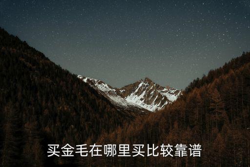 買金毛在哪里買比較靠譜