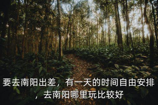 春季南陽適合去哪里玩,去南陽哪里玩比較好