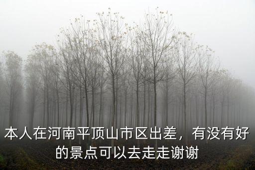 本人在河南平頂山市區(qū)出差，有沒有好的景點可以去走走謝謝