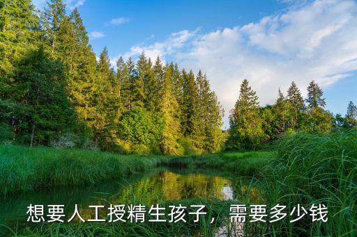 許昌人工授精花多少錢,人工授精和試管嬰兒
