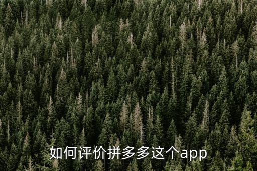 如何評(píng)價(jià)拼多多這個(gè)app